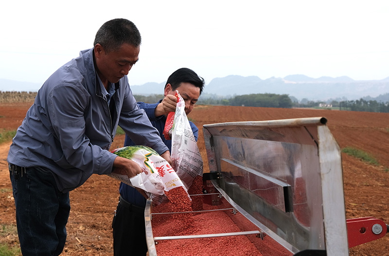 ڣȫ̙C(j)еNֲСήa(chn)