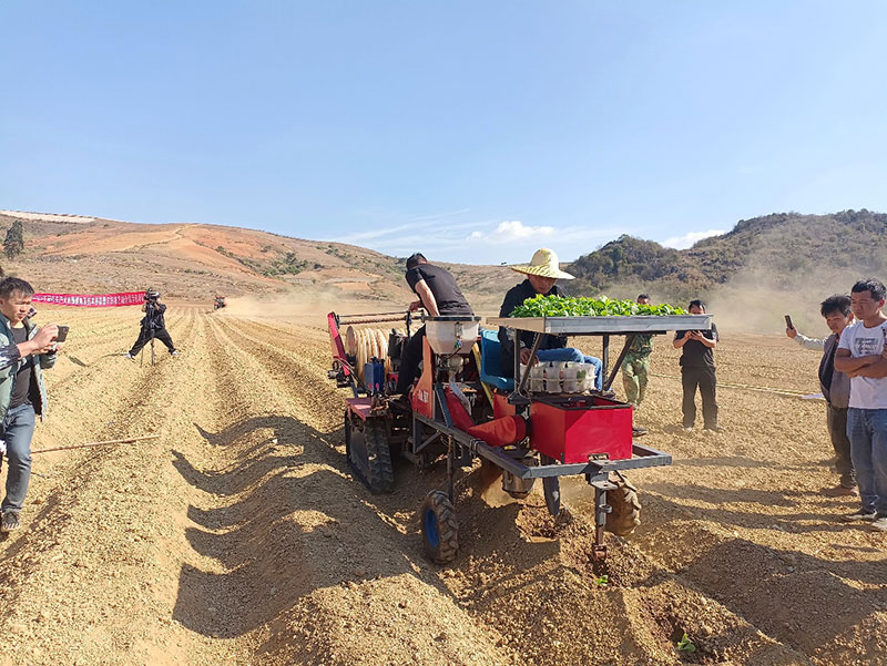 ɽr(nng)I(y)C(j)еl(xing)d