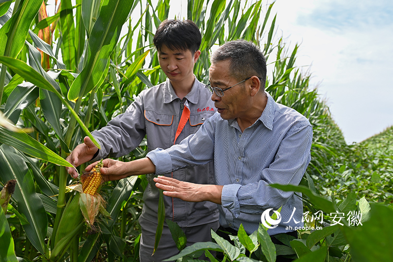 ك|Z}(cng)(yng)ɏ(qing)oһ