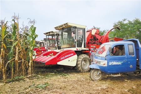 r(nng)I(y)l(f)չע