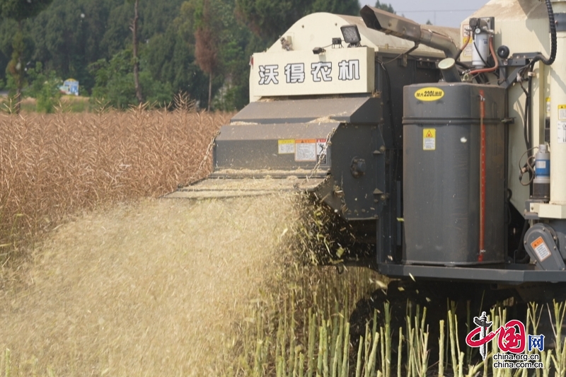 d28f஀ͲӭSՙCеոræ