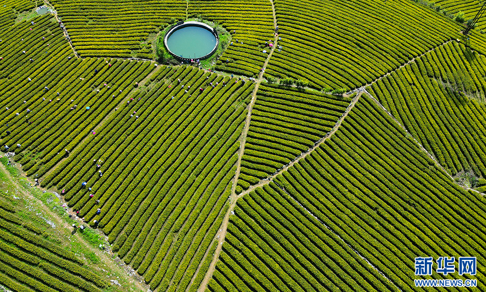 ۽|(zh)l(f)չحԽǧ꣬a(chn)I(y)ǧ|