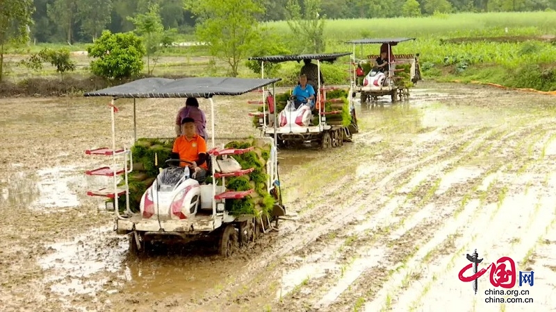 VأC(j)еȫ̻r(nng)C(j)gæ