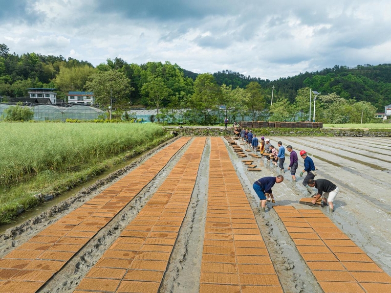 ~fɽr(nng)C(j)r(nng)I(y)Ч