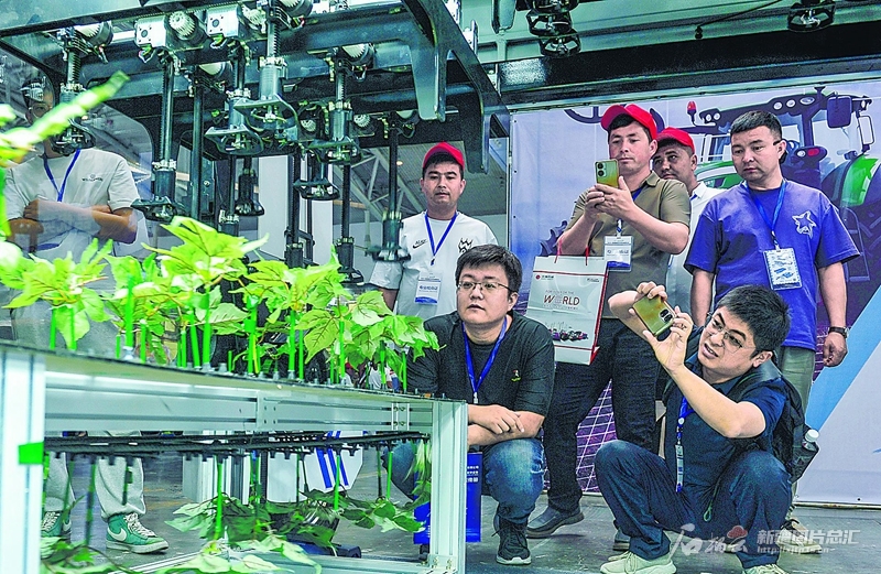 ڶʮČ½r(nng)C(j)[_Ļ