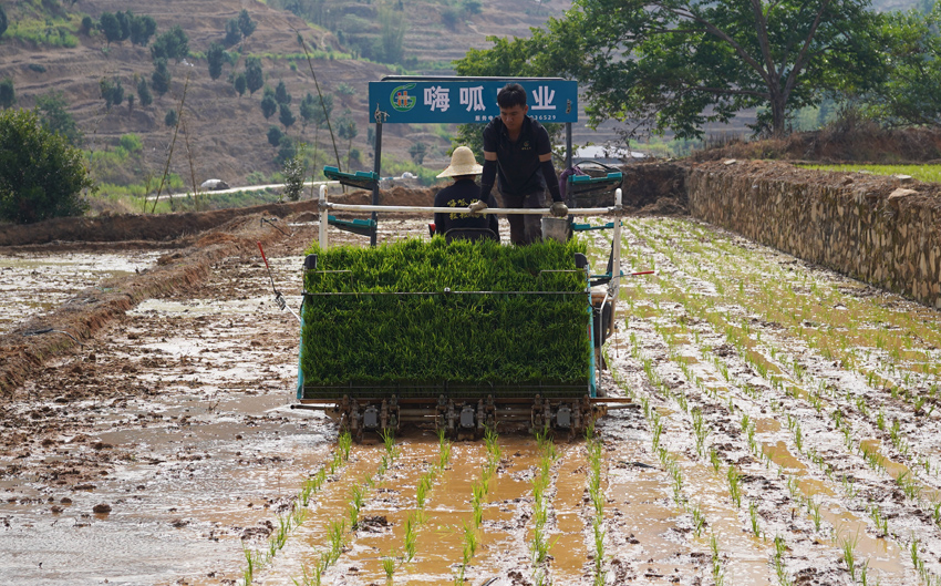 Rƿh(zhn)C(j)еʡrʡ