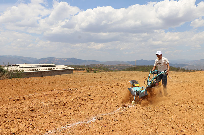 Ϗɣߘ˜rrI(y)Cеˮƽ