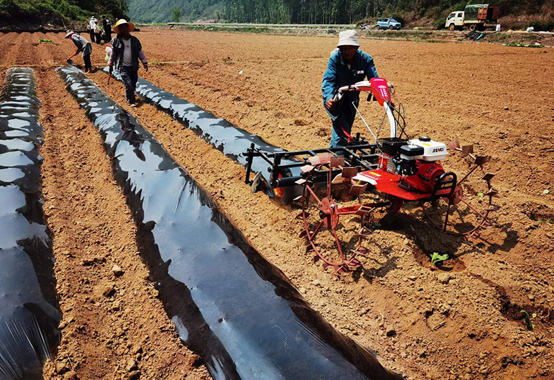 ϪtC(j)еa(chn)(dng)