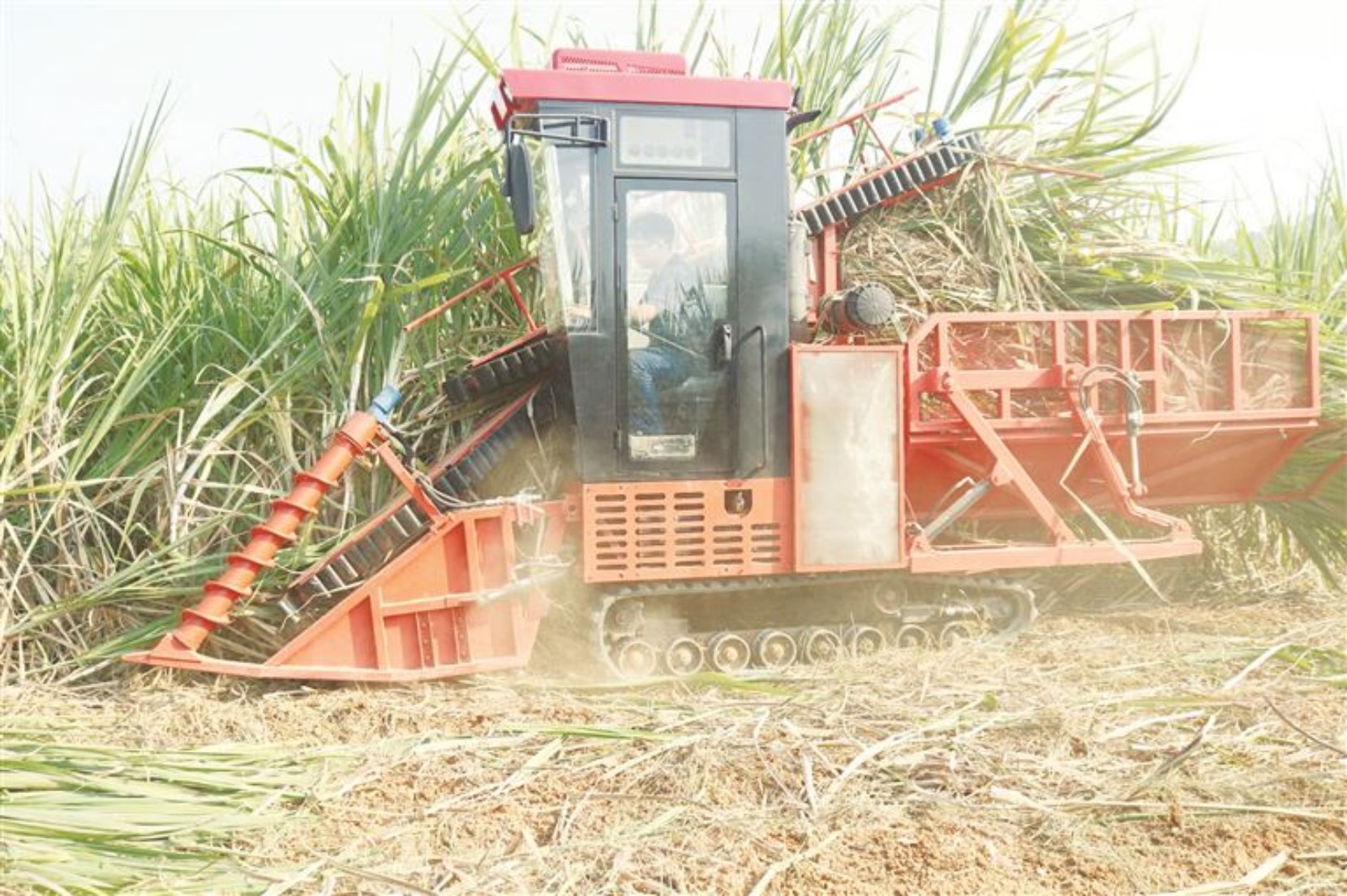 ӳ_ǣƏVC(j)еի@I(y)